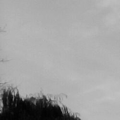 Debby